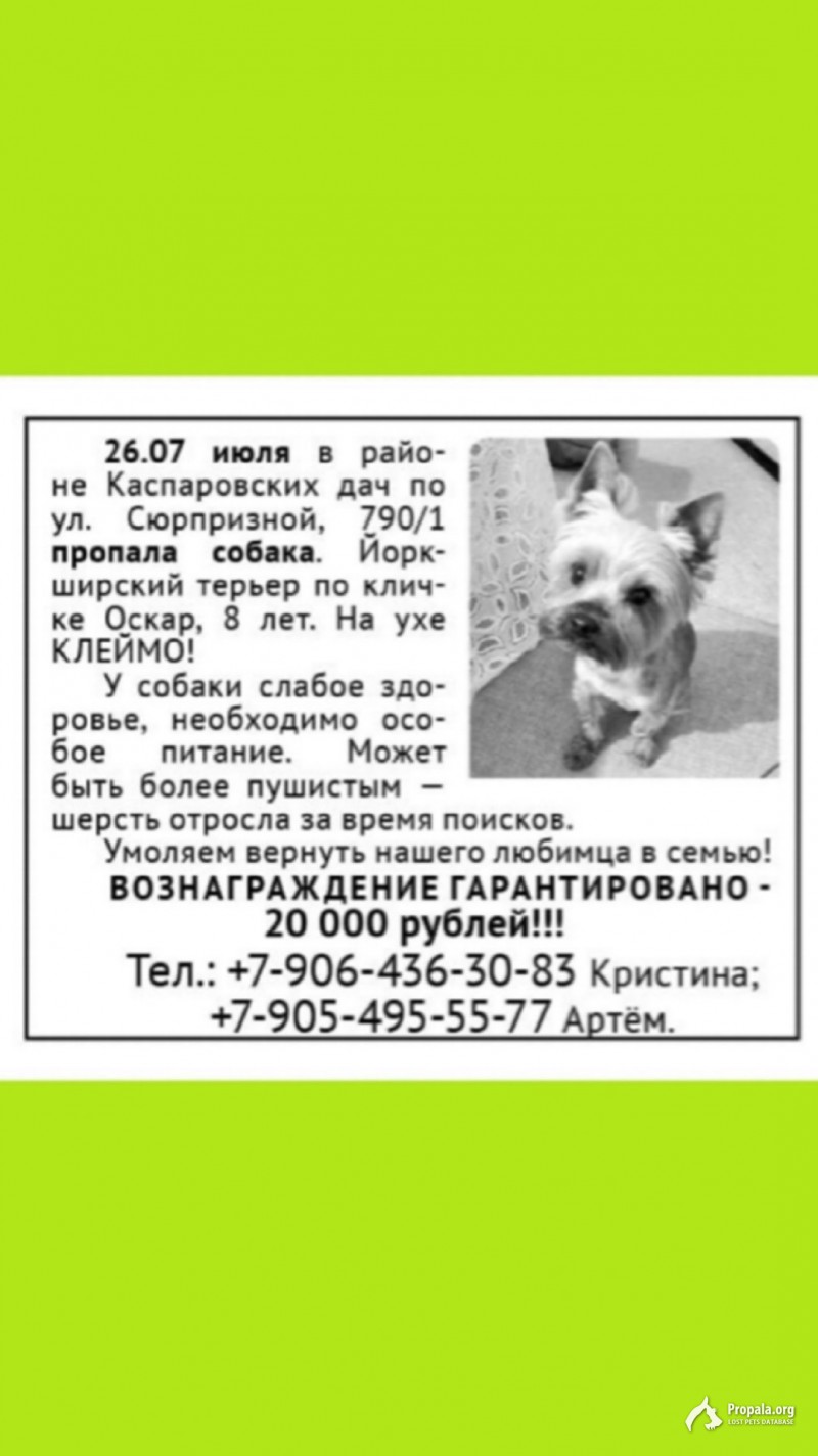 Армавир!!! Поиски продолжаются!!!