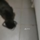 Найдена Чёрная толстая кошка