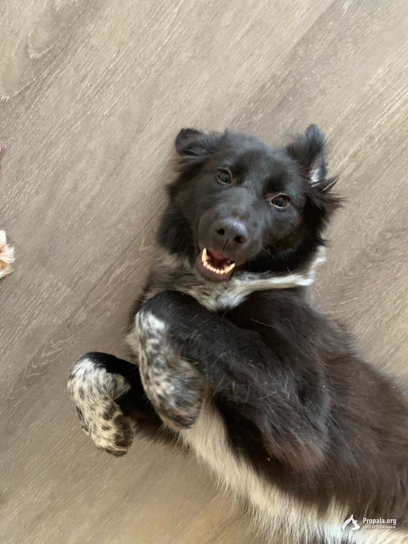 Мила ищет себе классную семью