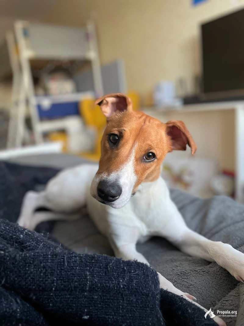 Санкт-Петербург (м.Московская)