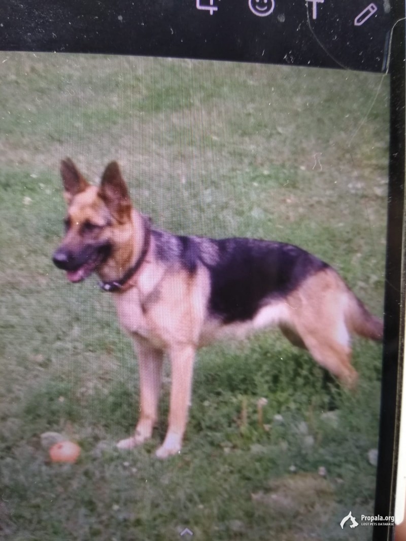 МО, Ступинский р-н, дер. Пестриково