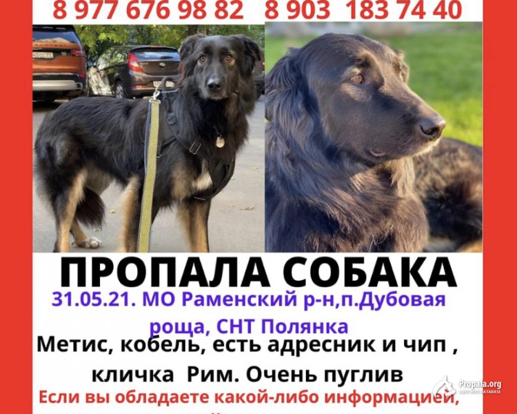 Снт подшипник раменский район Снт подшипник раменский район