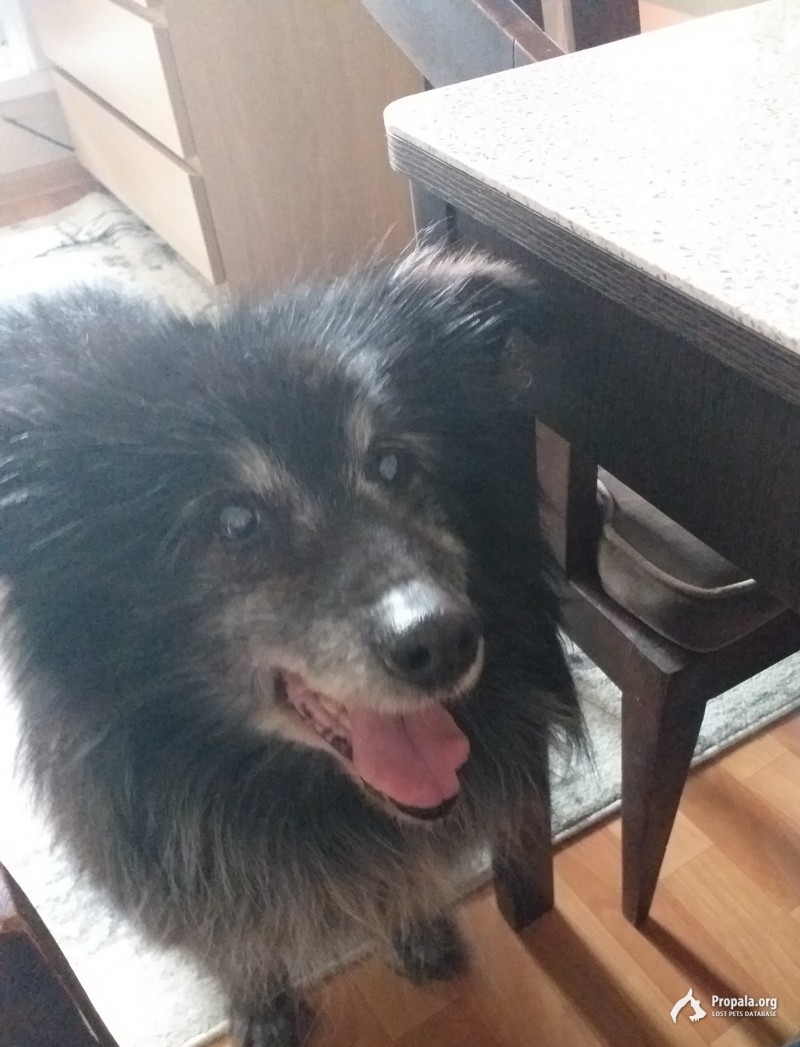 Помогите найти