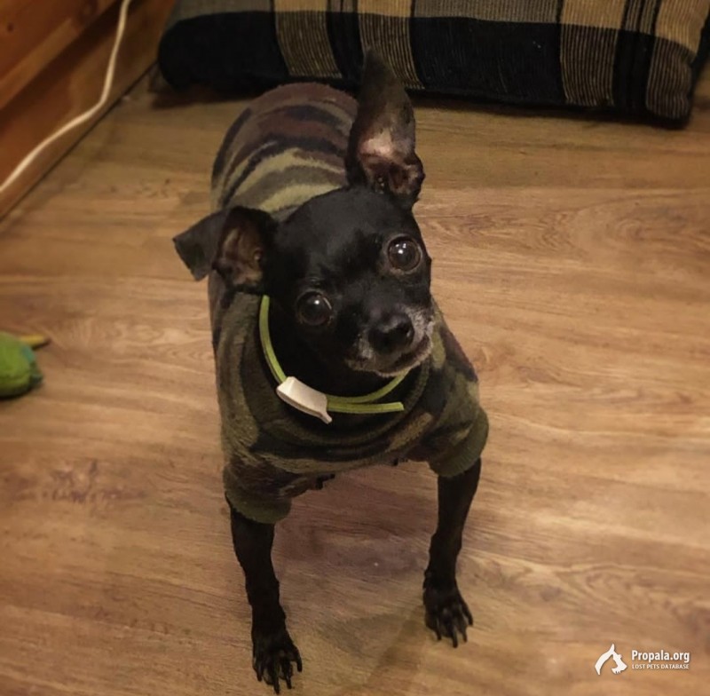 необходимо как можно скорее вернуть домой