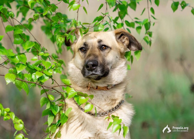 Дороти. Доброе сердце хочет довериться...