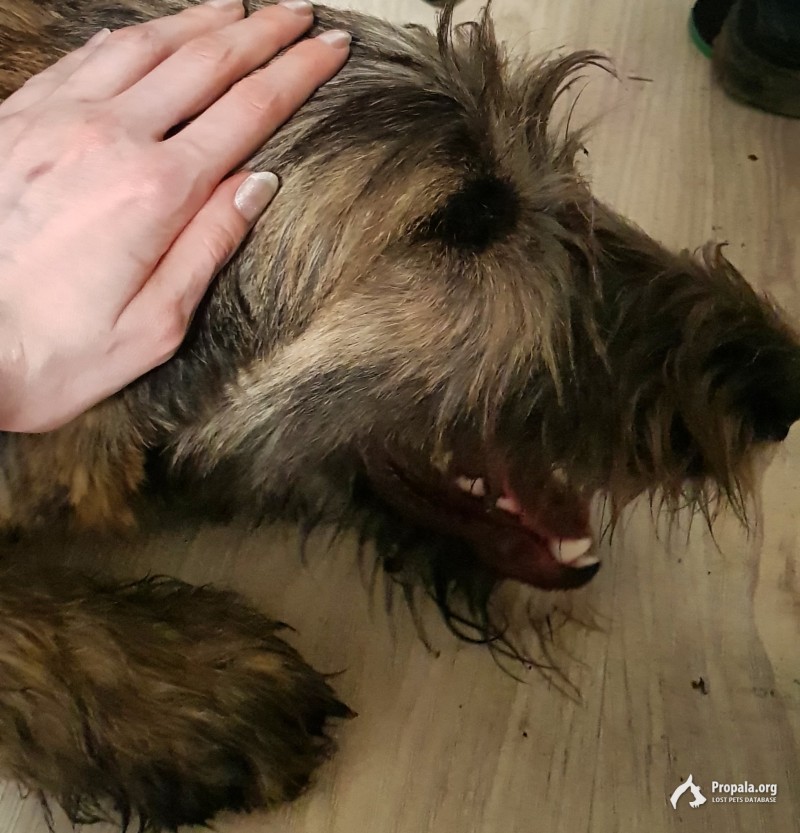 Помогите пожалуйста найти!!!!