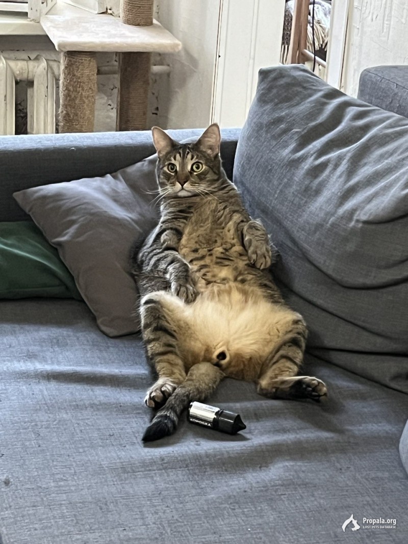 Потерялся трусливый малыш по имени Кокс!