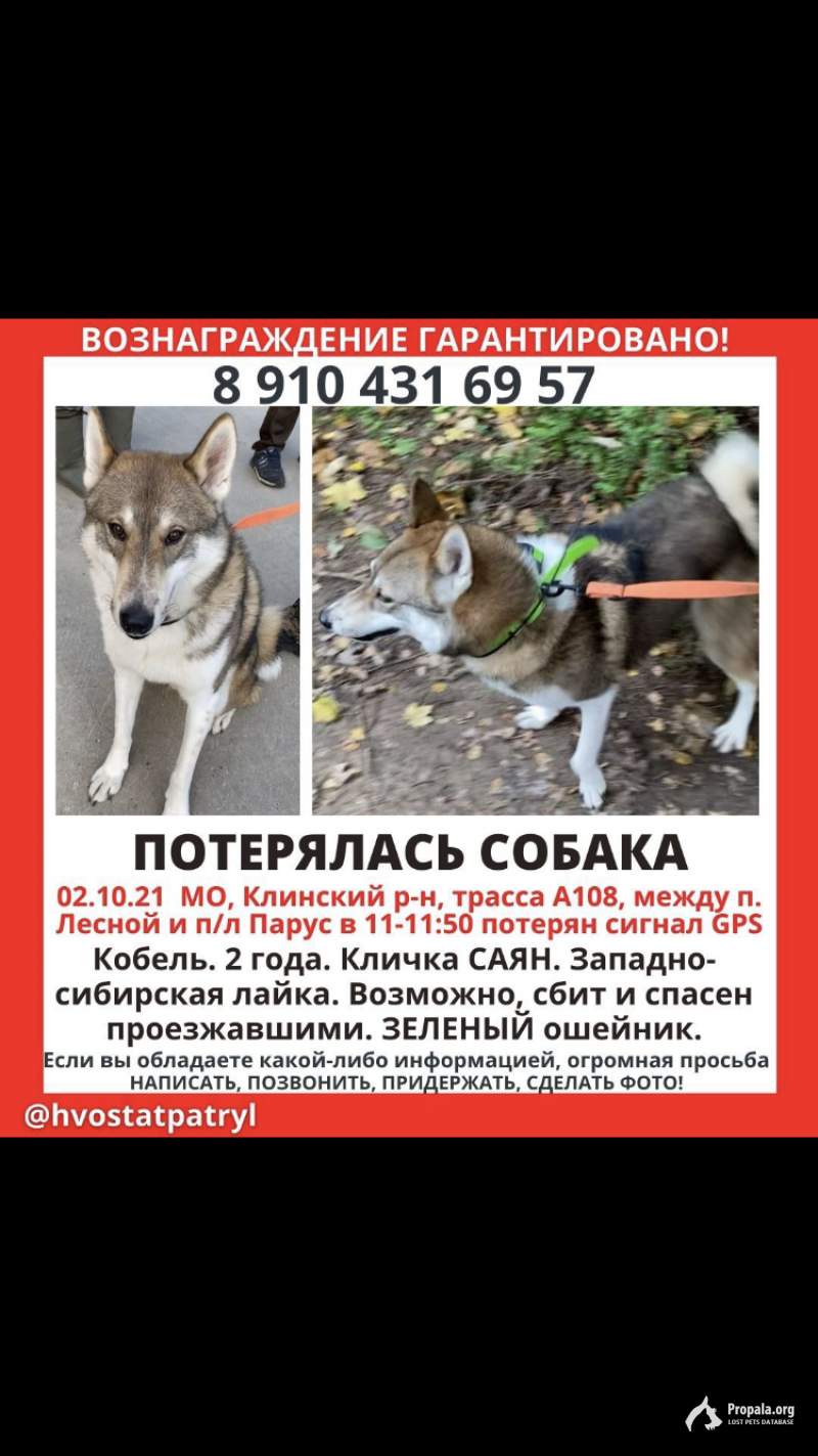 Розыск
