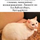 Помогите найти кошку!
