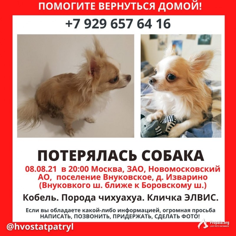 ВНУКОВСКОЕ ПОСЕЛЕНИЕ, ИЗВАРИНО И ОКРЕСТНОСТИ