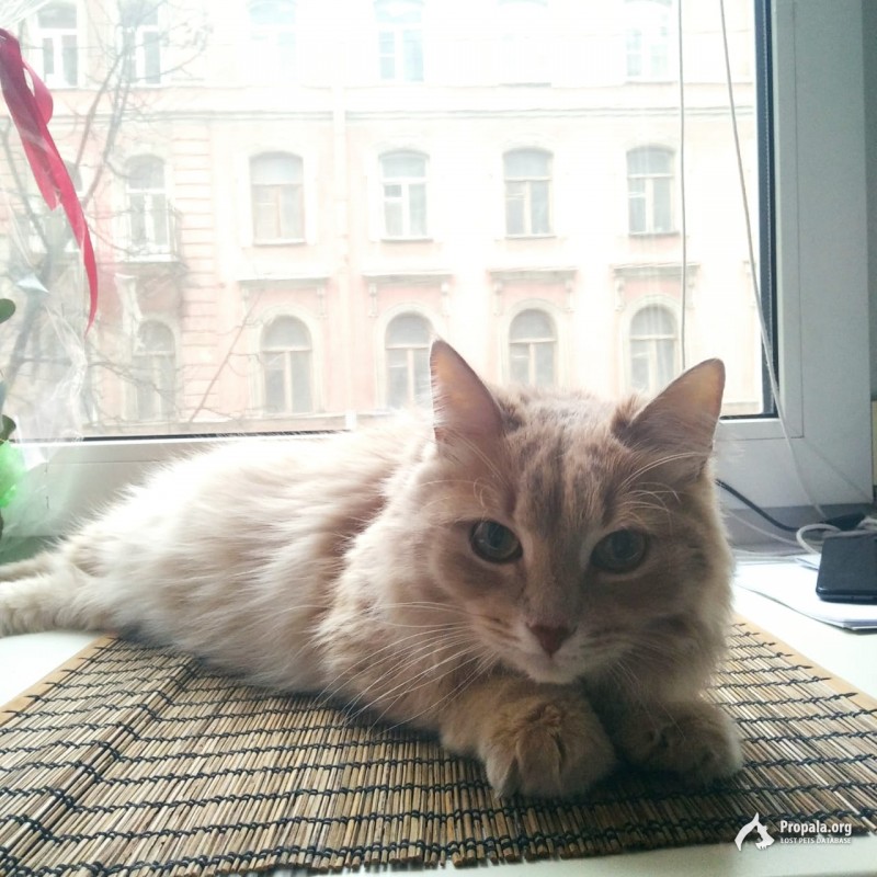 Пропал и нуждается в мед.помощи