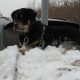 Срочно!!! Розыск!!