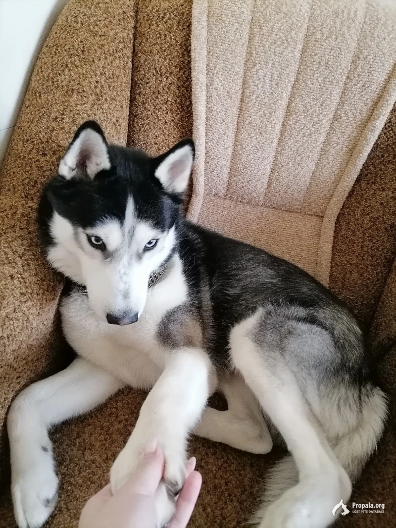 Ищу своего друга