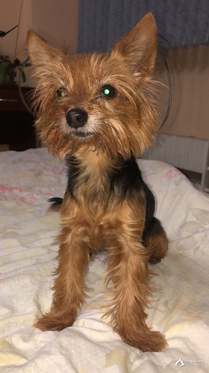 Пропала 28 октября