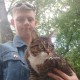 Найдена домашняя кошка