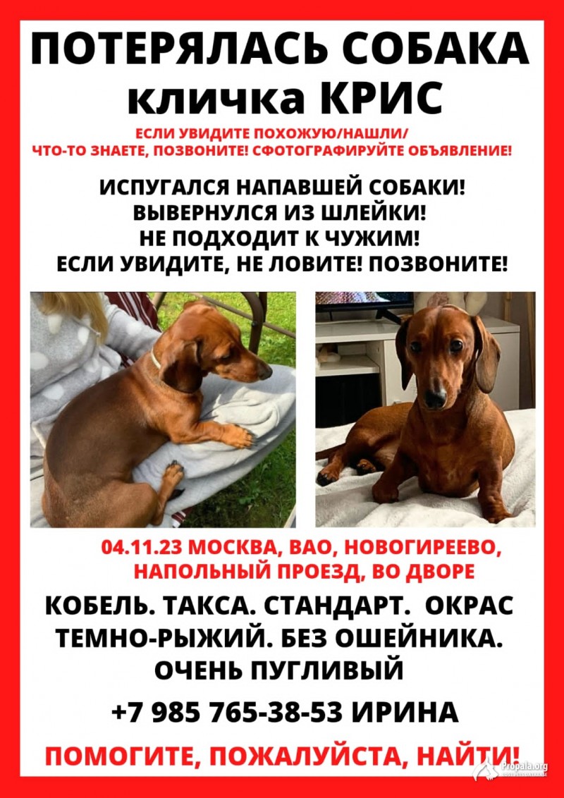 Помогите найти малыша